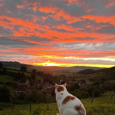La Petite Maison Dans La Campagne Massingy-lès-Vitteaux Exterior foto