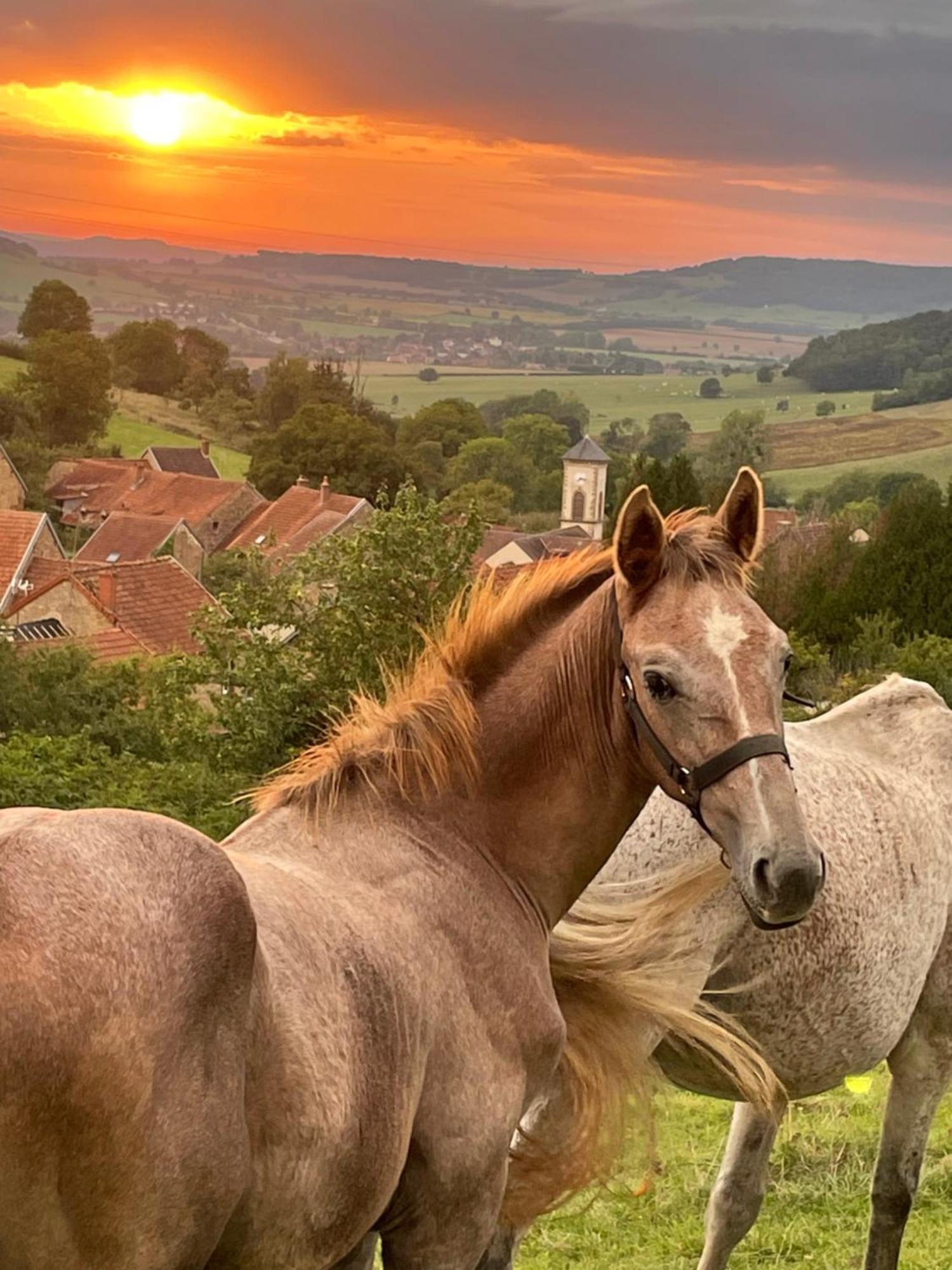 La Petite Maison Dans La Campagne Massingy-lès-Vitteaux Exterior foto