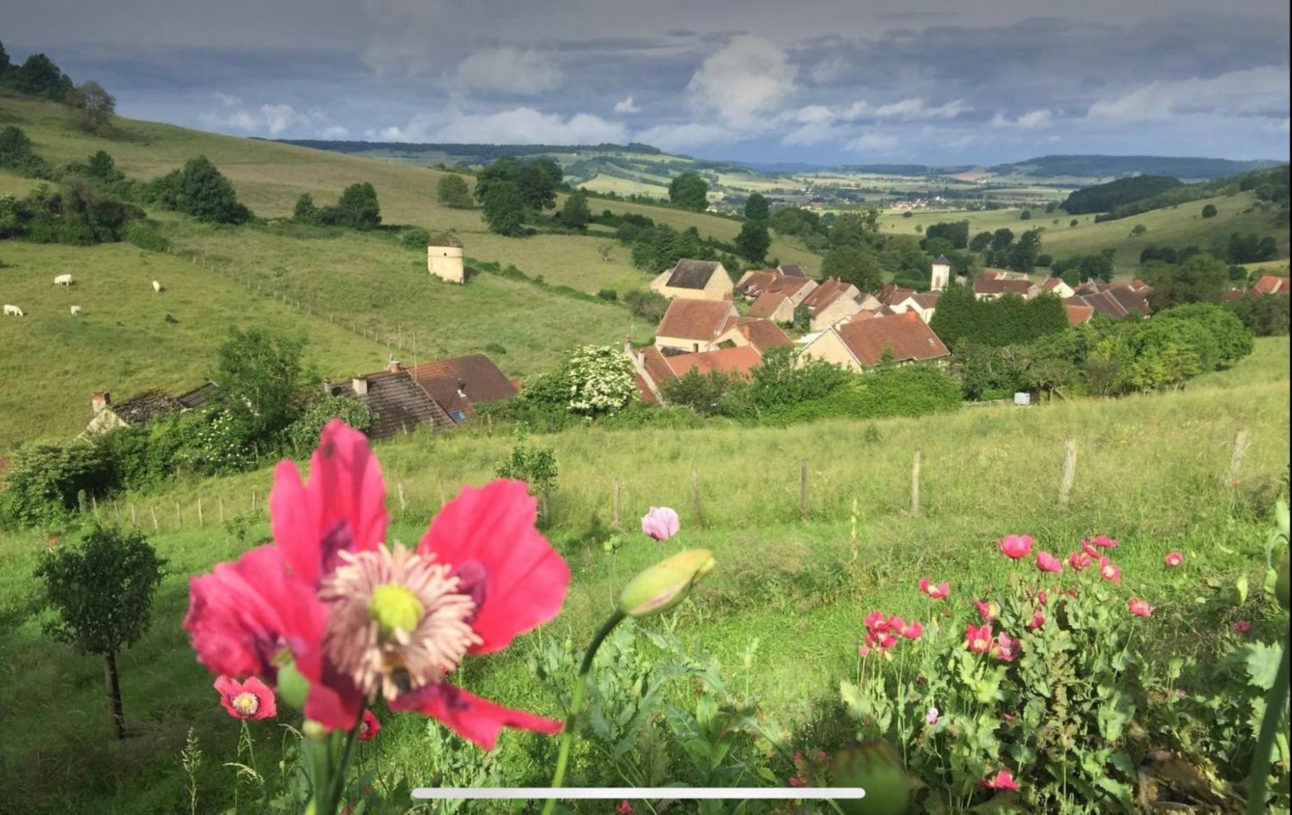 La Petite Maison Dans La Campagne Massingy-lès-Vitteaux Exterior foto